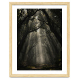 Enchanted Canopy: Mystical Forest Path thumbnail