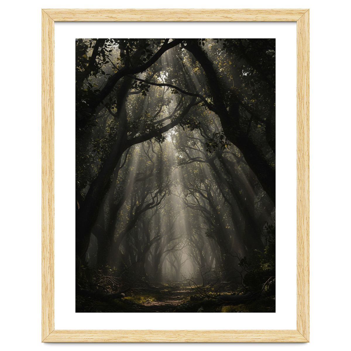 Enchanted Canopy: Mystical Forest Path