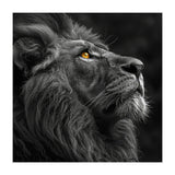 Majestic Lion Face Closeup Golden Eyes Black (Print Only) thumbnail