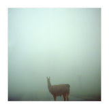 Silence of breath - 04 (Print Only) thumbnail
