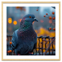 Pigeon With Water Droplets