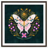 Butterfly And Sun thumbnail