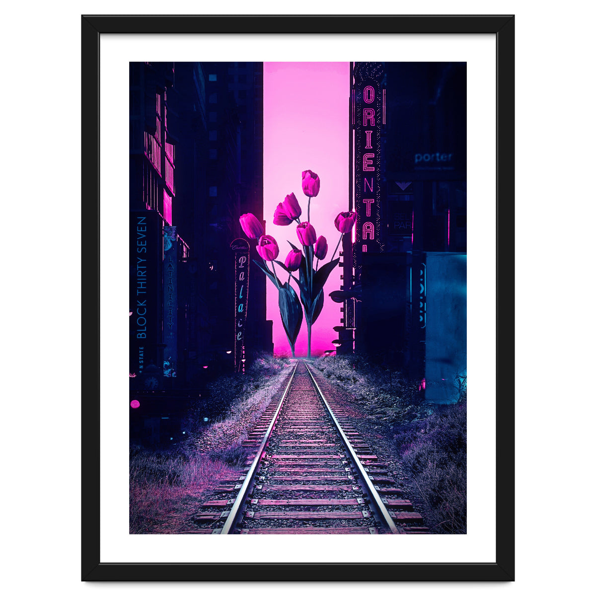 red tulips in the middle of the city