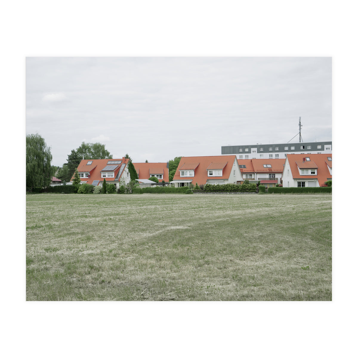 Red roof houses in the green field (Print Only)