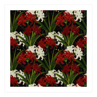 Red and White Spider Lily Flower Print Elegant Botanical Japanese Inspired Floral Artwork (Print Only)
