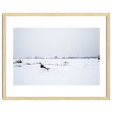 Drinking fountain covered with snow thumbnail