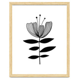 Tulip blossom thumbnail