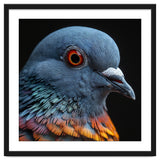 Close Up Of A Pigeon Bird thumbnail