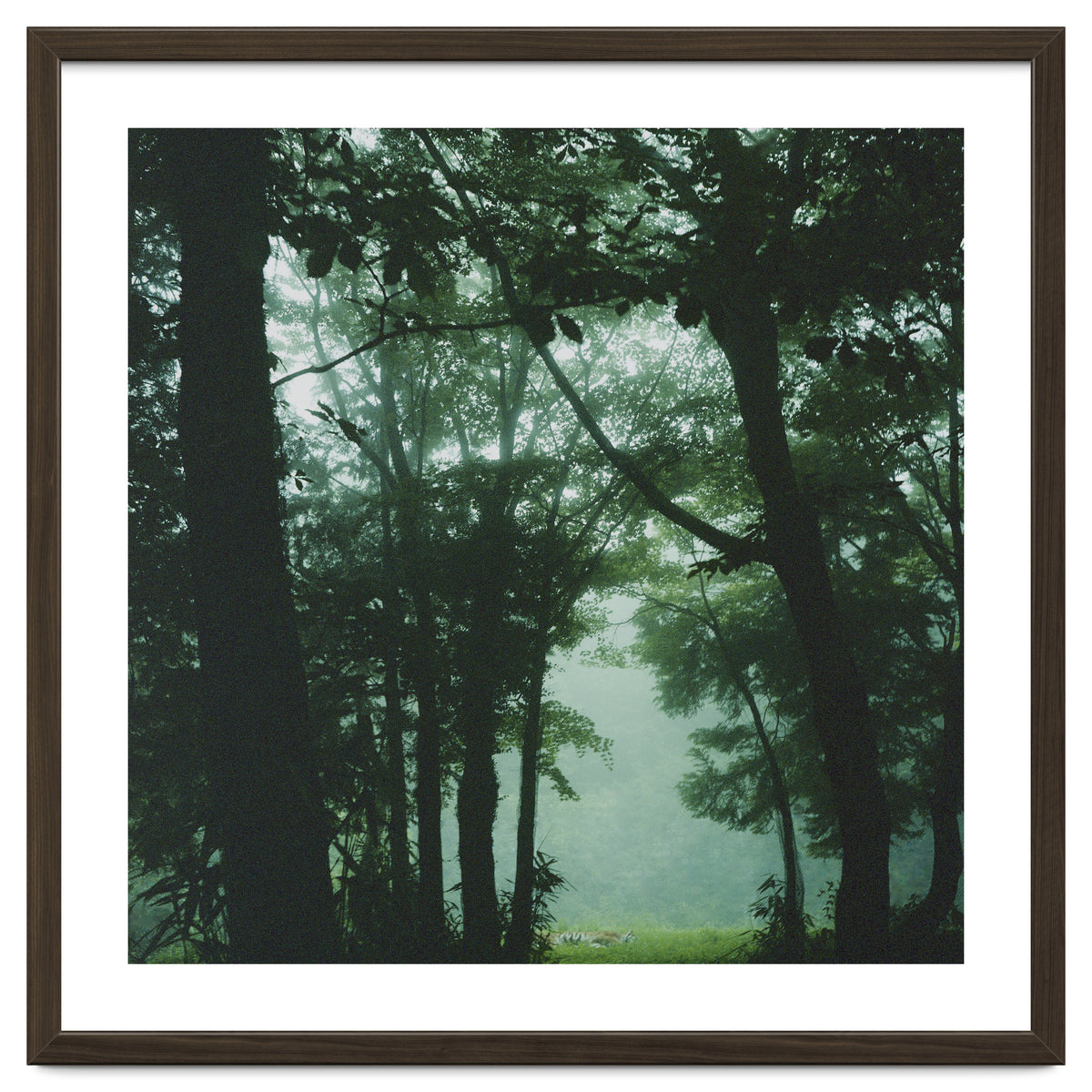 Silence of breath - 13