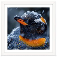 Close Up Penguin In Snow With Water Droplets