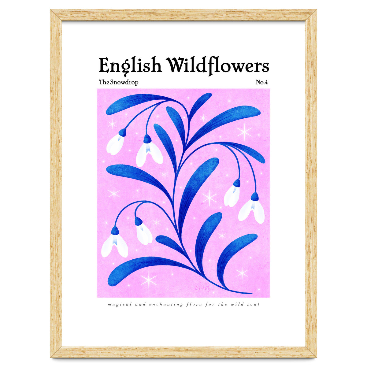 English Wildflowers | Snowdrops