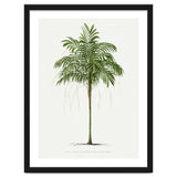 Oswald de Kerchove de Denterghem – Vintage Palm Tree Illustration (1878) thumbnail