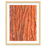 Tree Bark thumbnail