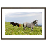 Equine Family thumbnail