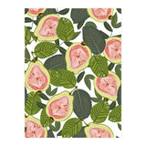 Guava #society6 #decor #buyart (Print Only) thumbnail