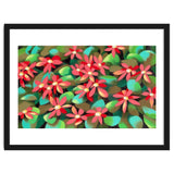 Red flowers thumbnail