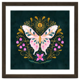 Butterfly And Sun thumbnail