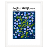 English Wildflowers | Forget-Me-Not thumbnail