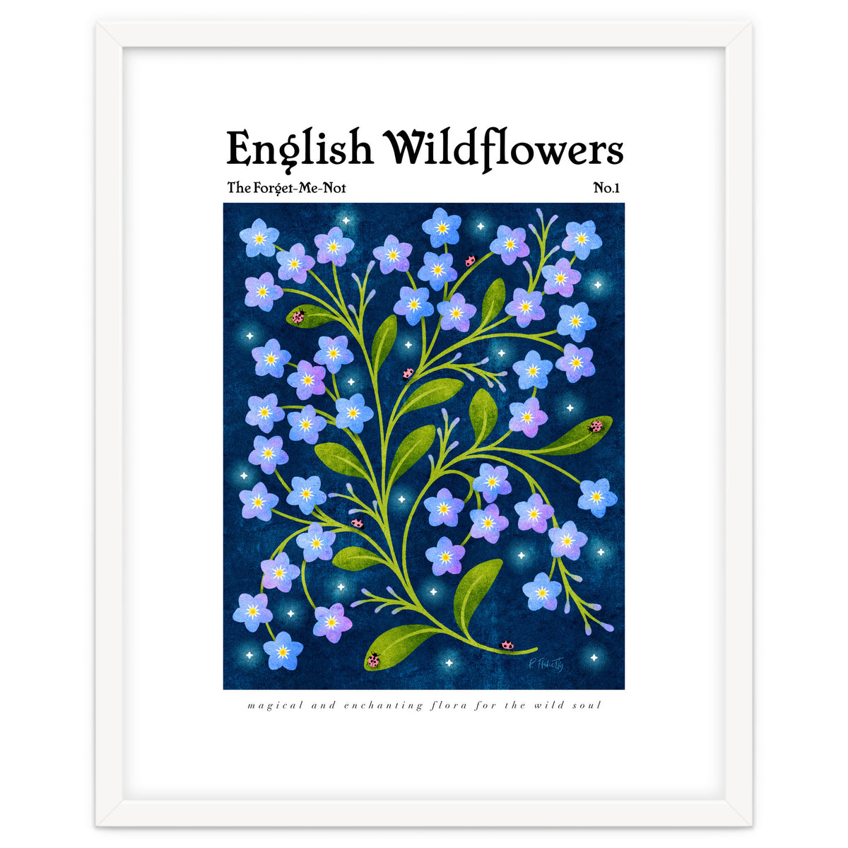 English Wildflowers | Forget-Me-Not