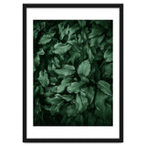 New Foliage Green Ii thumbnail