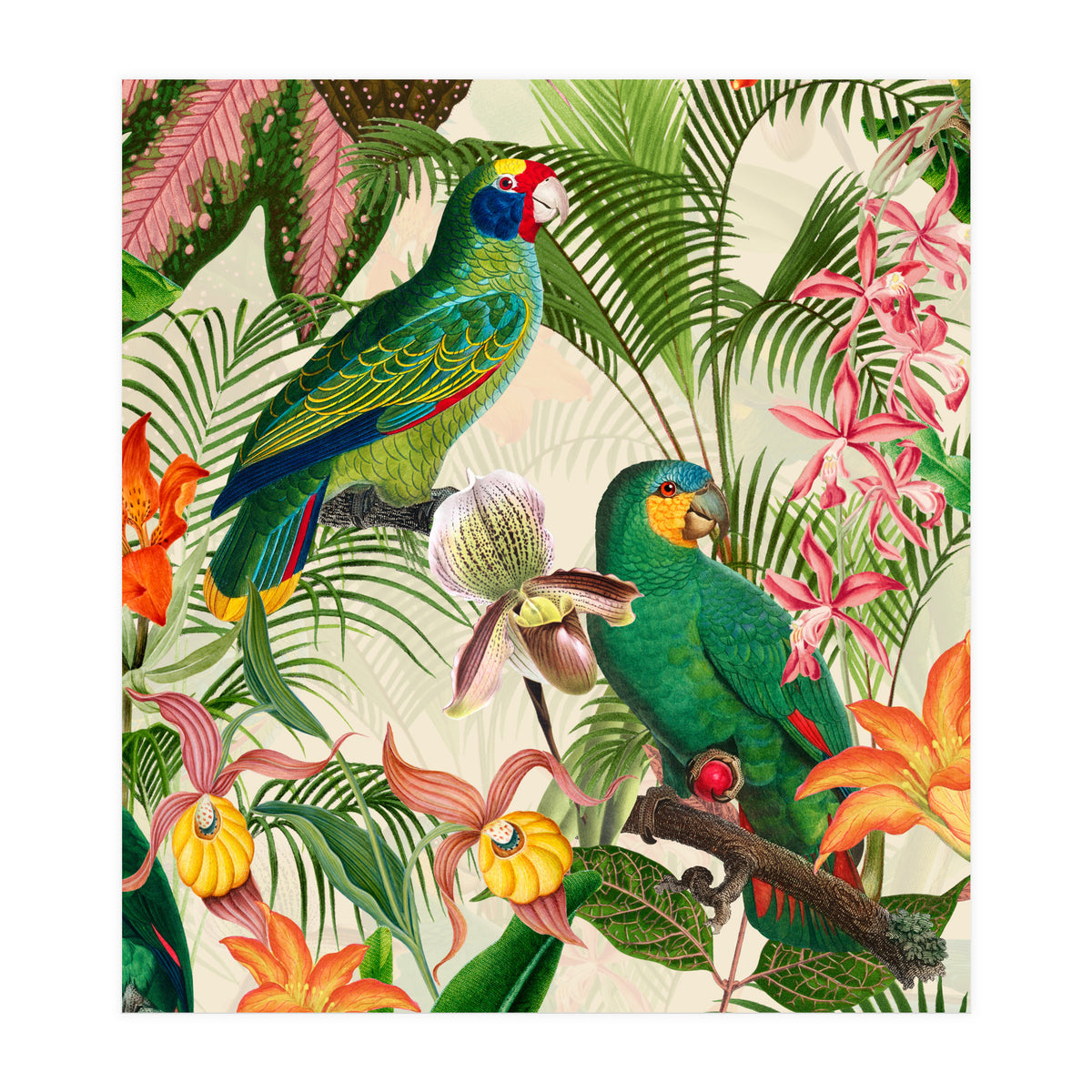 Parrots in tropical Jungle (Print Only)