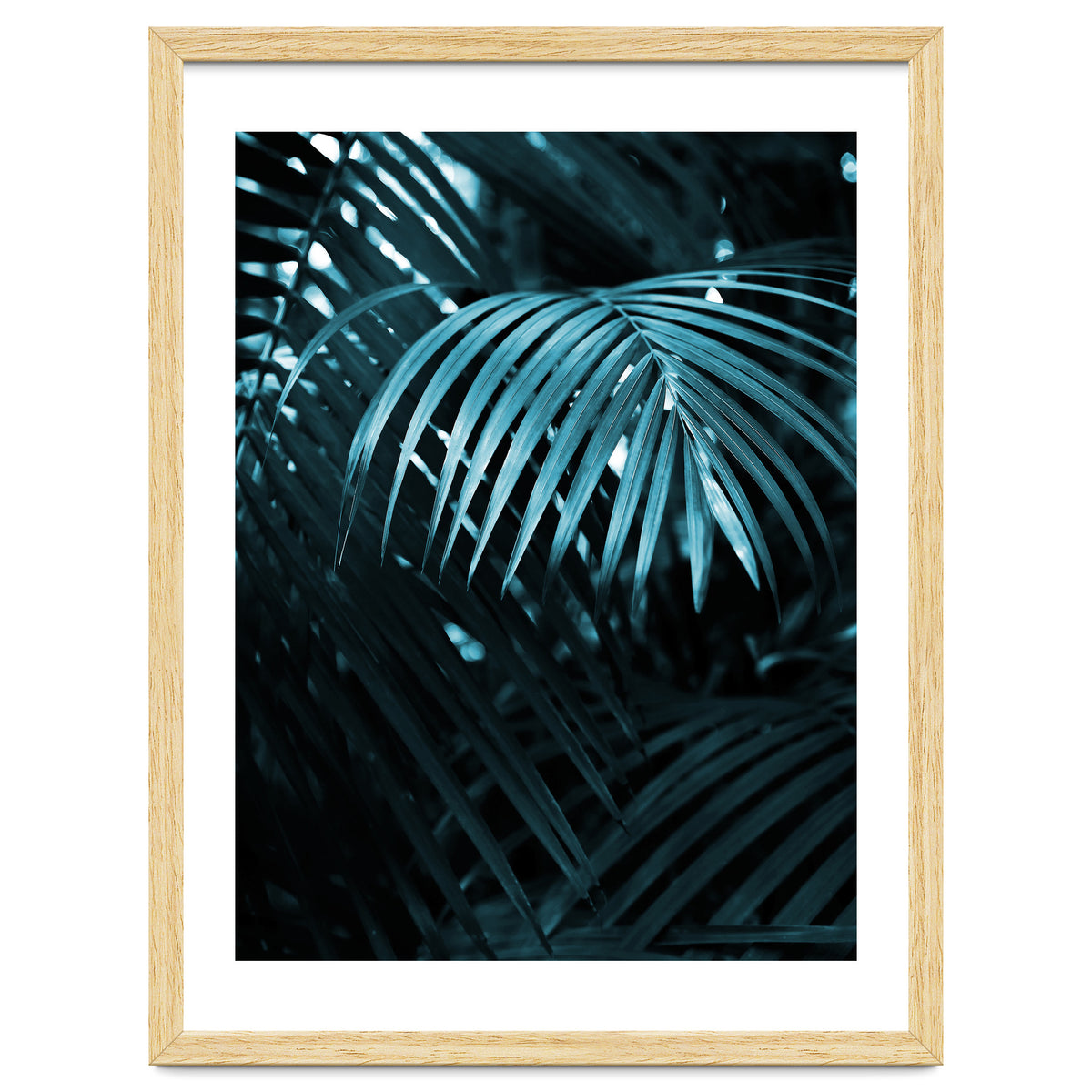 Blue Jungle Palm Ii
