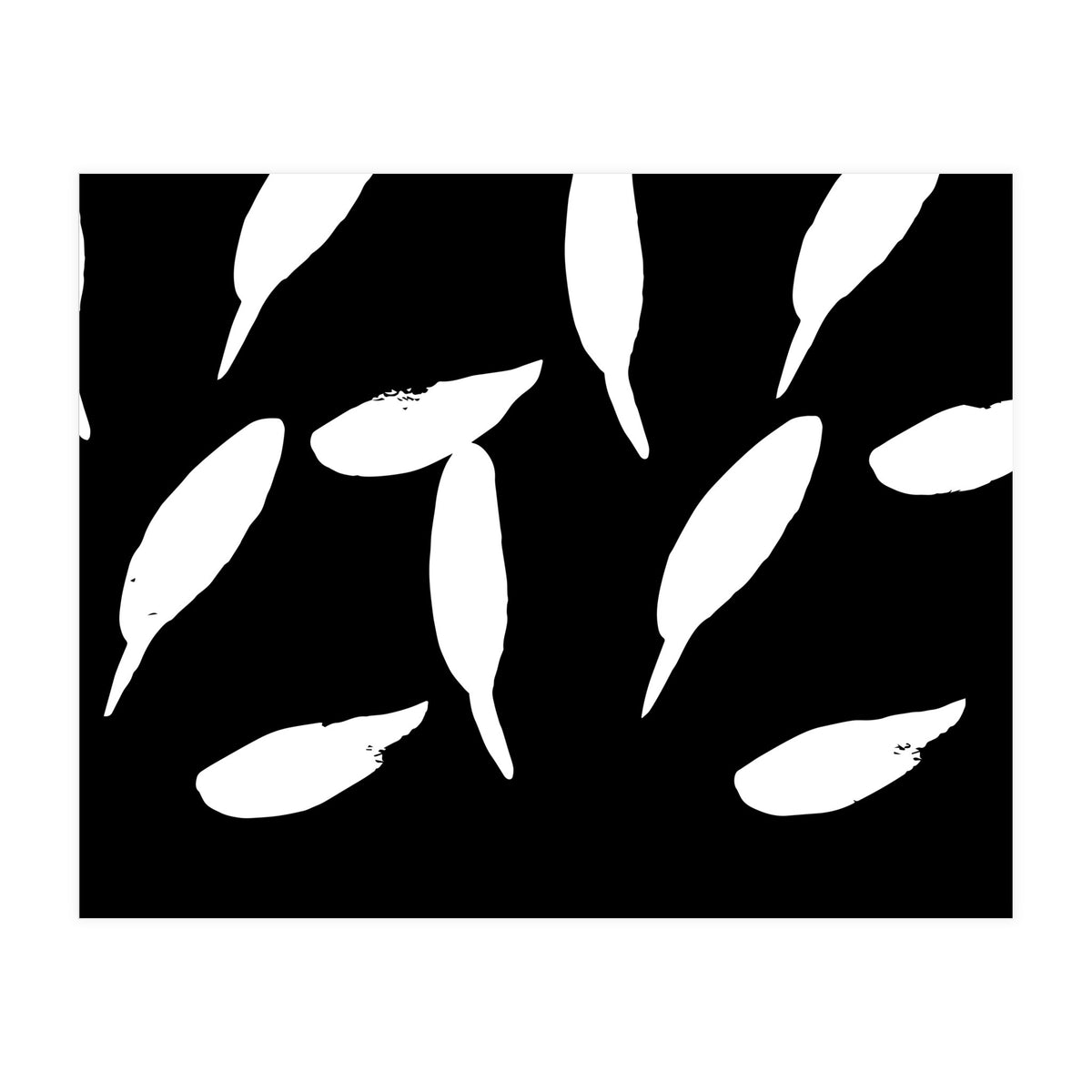 Free Fall (Print Only)