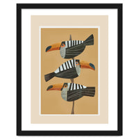 Tropic Trio