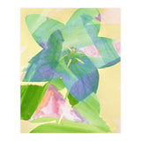 A Peaceful World (Print Only) thumbnail