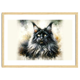 Majestic Long Haired Cat Portrait thumbnail