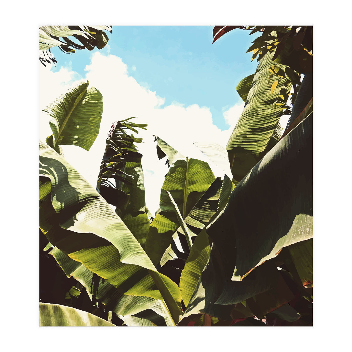 Silent Compilation (Print Only)