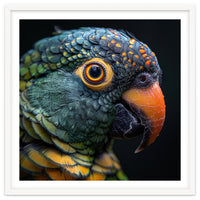 Close Up Of A Colorful Parrot's Face