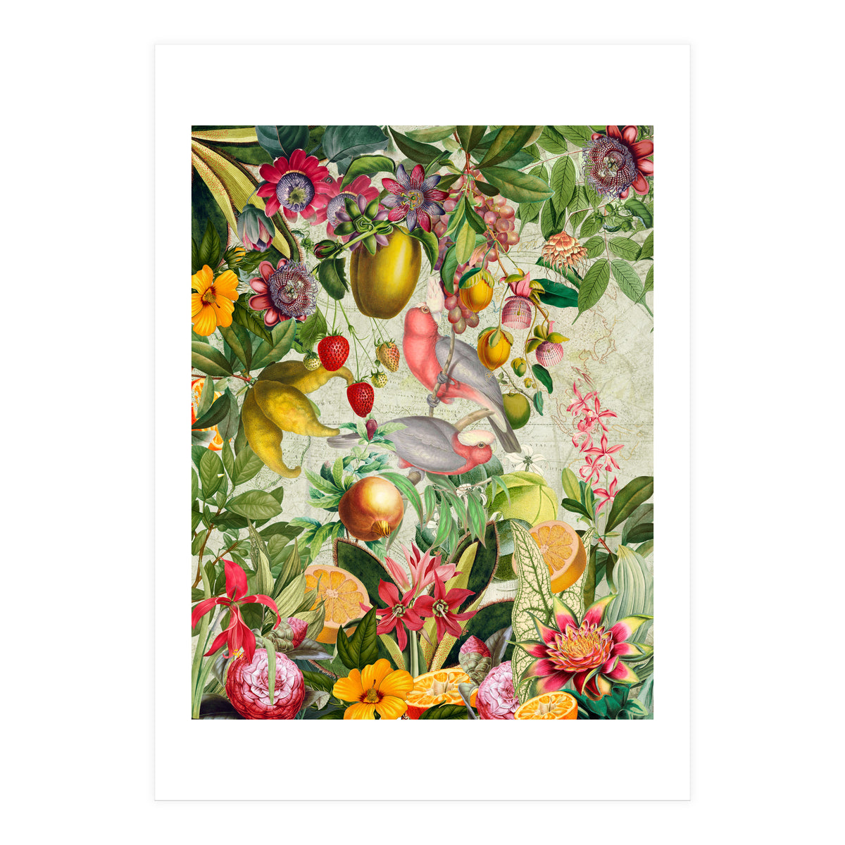 Pink Cockatoo vintage jungle  (Print Only)