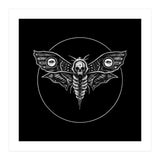 Deaths Head Moth (Print Only) thumbnail