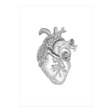What You Love (Print Only) thumbnail