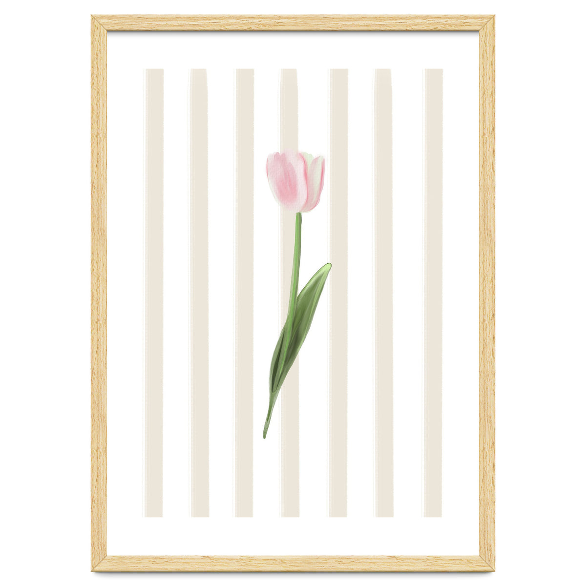 Single Tulip