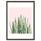 Botanical Balance thumbnail