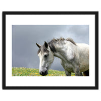 White Horse