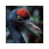 Black Crane Bird Head With Red Crown And Raindrops (Print Only) thumbnail