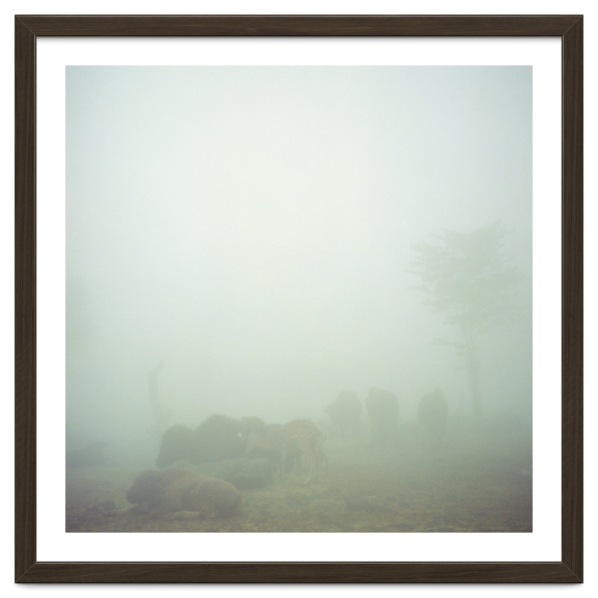 Silence of breath - 03