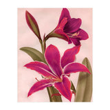 Vintage Floral (Print Only) thumbnail