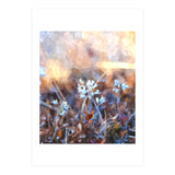 After The Rain (Print Only) thumbnail