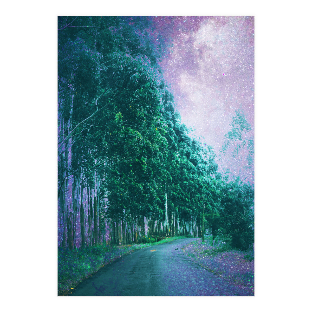 Magical Path (Print Only)