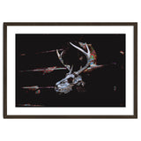 Deer Skull thumbnail