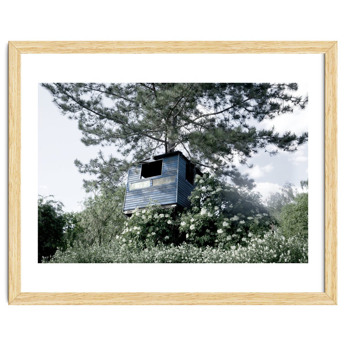 Blue hut on the tree