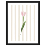 Single Tulip thumbnail