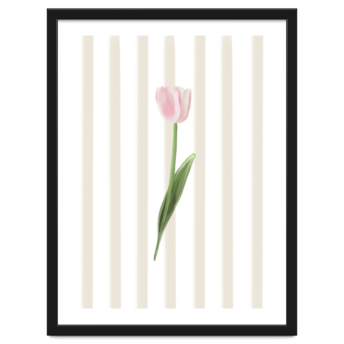 Single Tulip