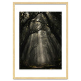 Enchanted Canopy: Mystical Forest Path thumbnail