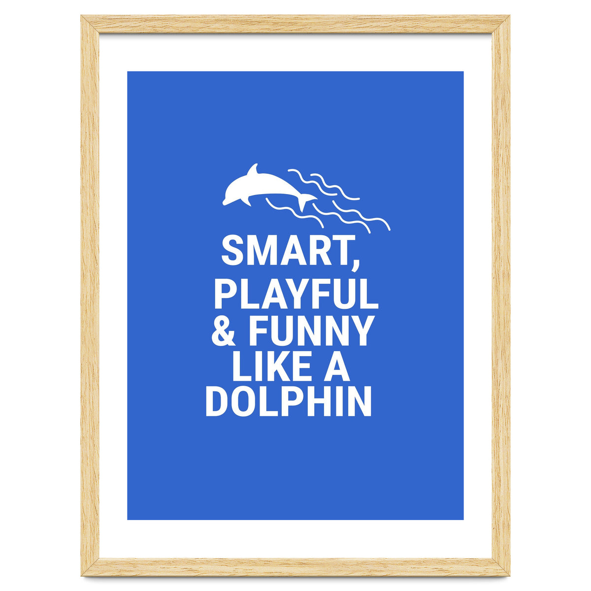 Smart, playful and funny like a dolphin
