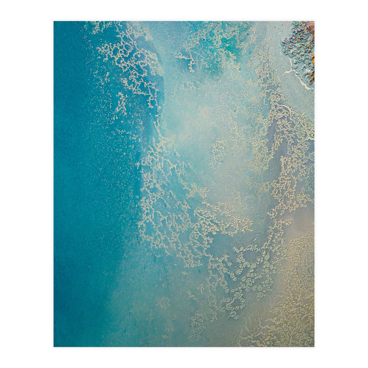 Shallow Waters (Print Only)